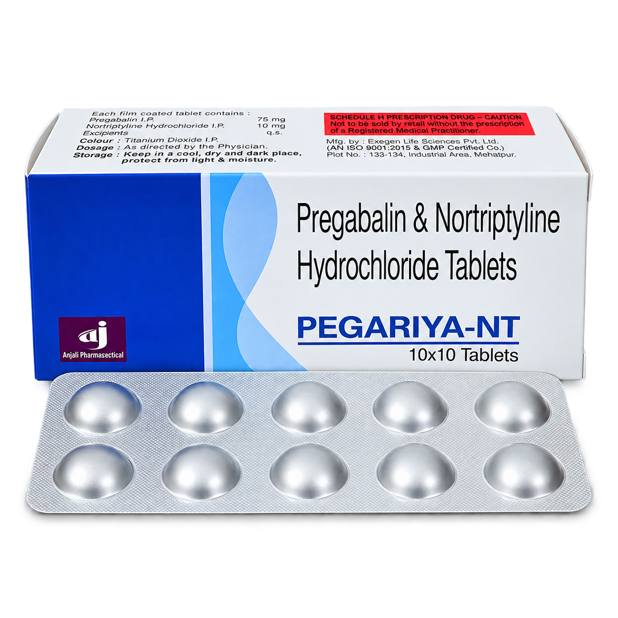 PEGARIYA NT
